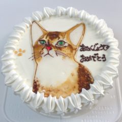 誕生日ケーキ（ペット）